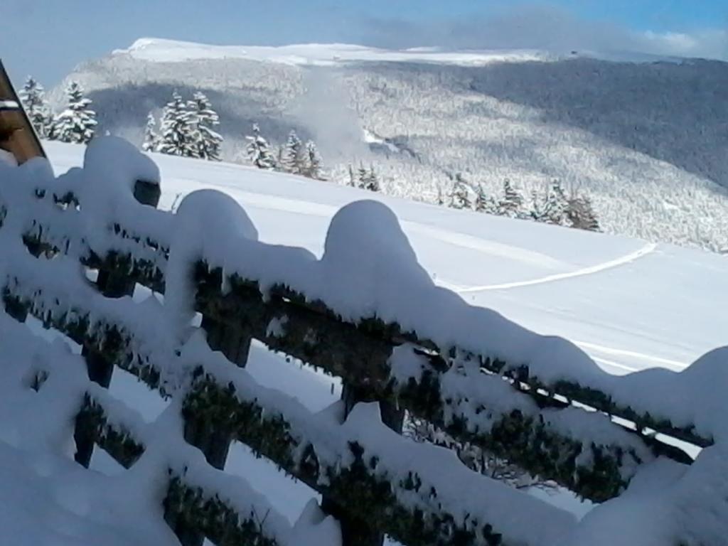 Garni Kostner Hotel Ortisei Bagian luar foto